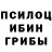 Галлюциногенные грибы GOLDEN TEACHER KAZ AKSHA