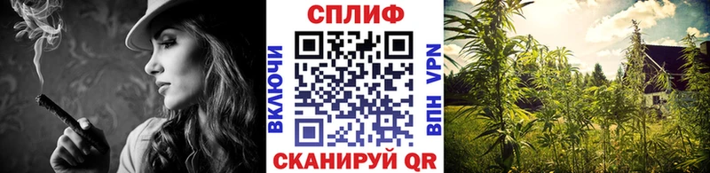 OMG вход  Железногорск  Бошки Шишки VHQ 
